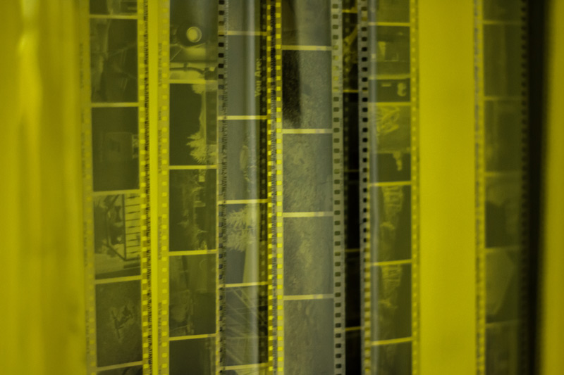 image of film negatives