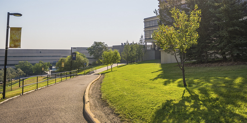 Campus in summer