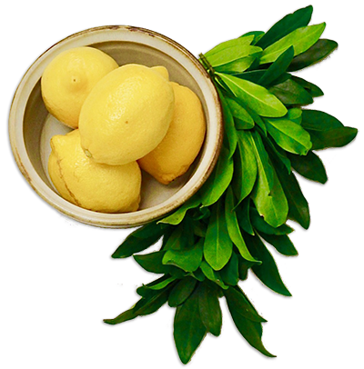 lemons bowl of lemons
