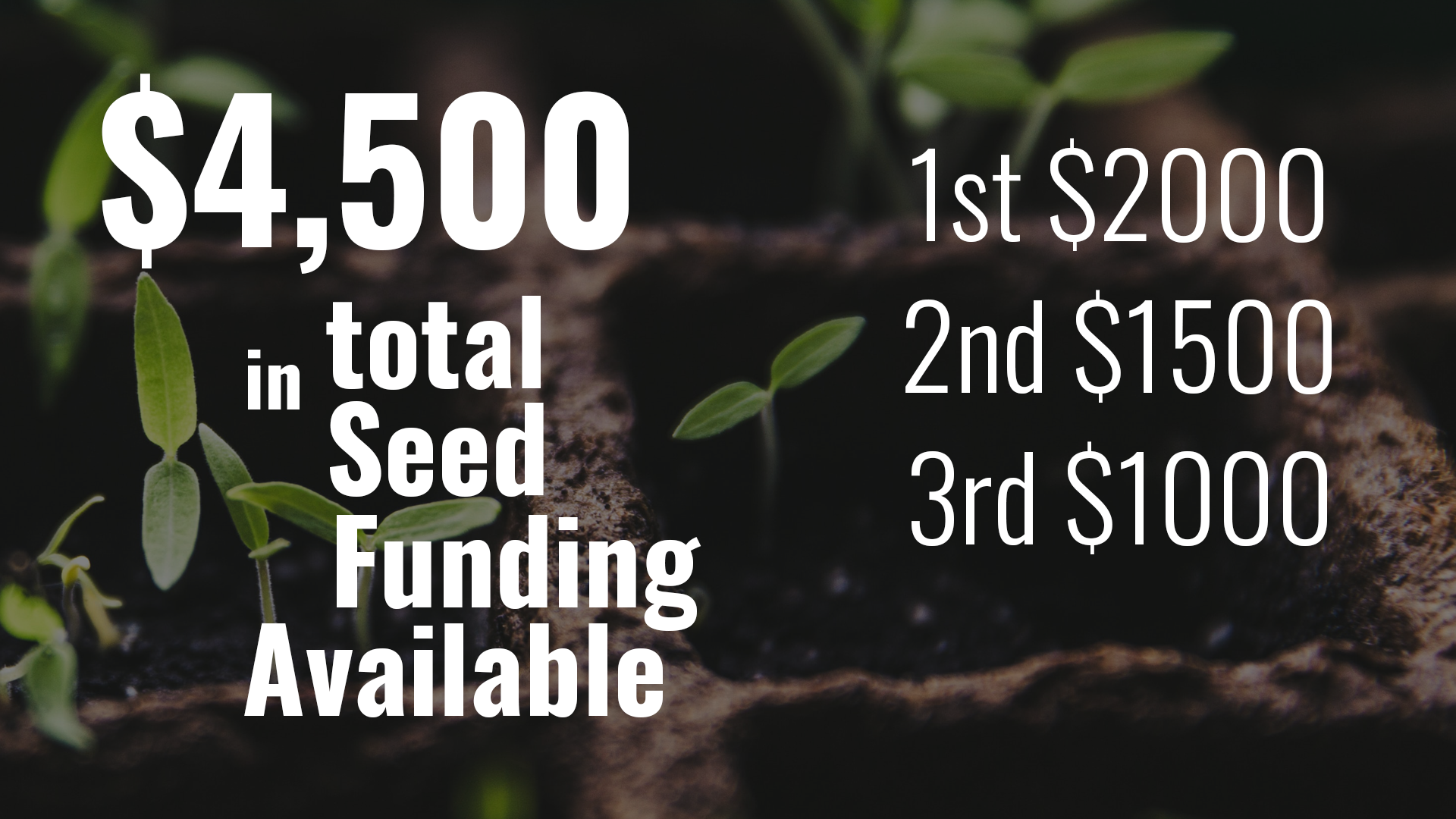 Total Seed Funding
