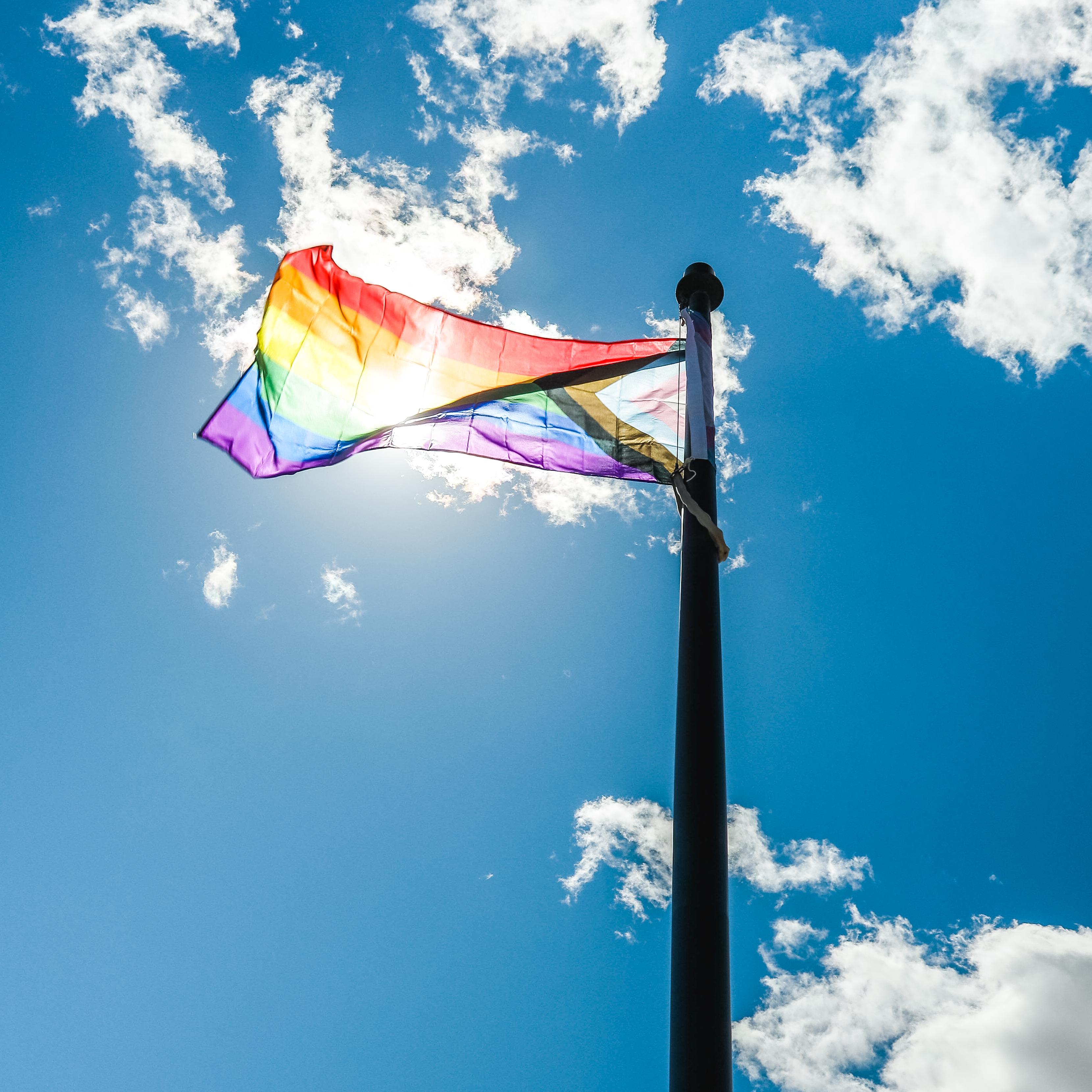 pride flag pride flag