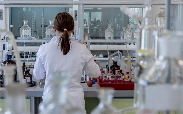 Labs