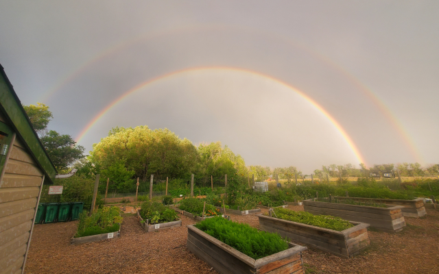 picture of the campus gardens with a doubel rainbow above them