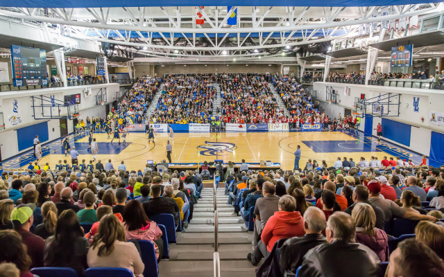 Crowd assembled for a Pronghorns game in the campus gynasium