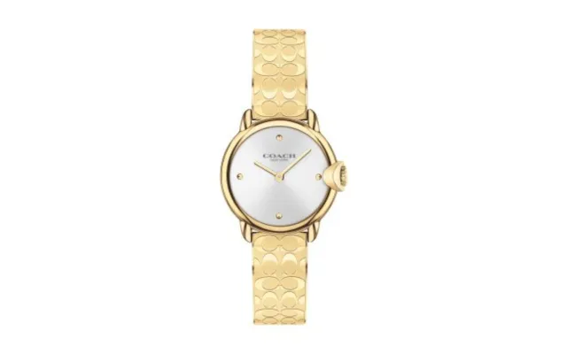 arden-ladies-watch-coach.png