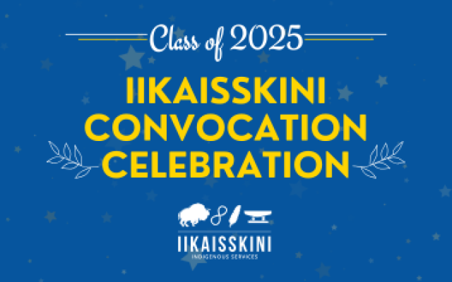 Iikaisskini