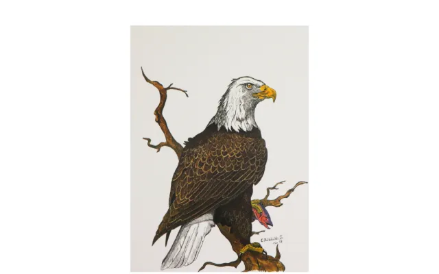 Traditional Blackfoot Art