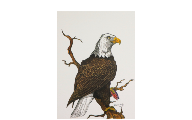 Traditional Blackfoot Art