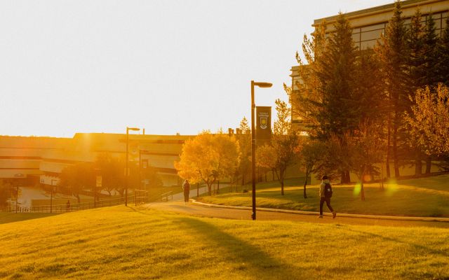 UofL campus