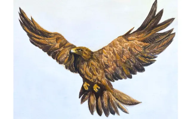 Golden Eagle Painting