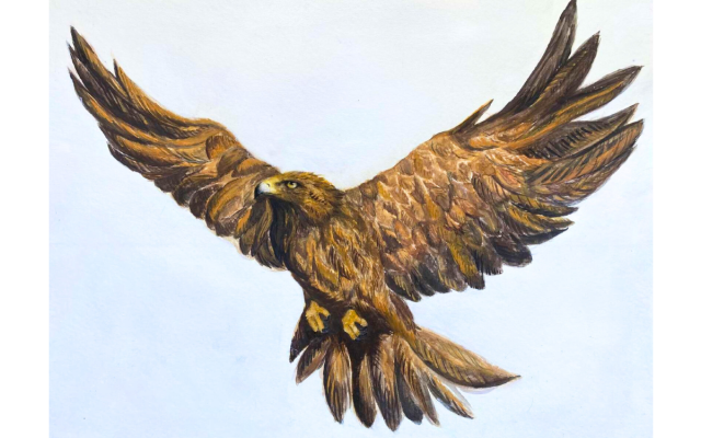 Golden Eagle Painting