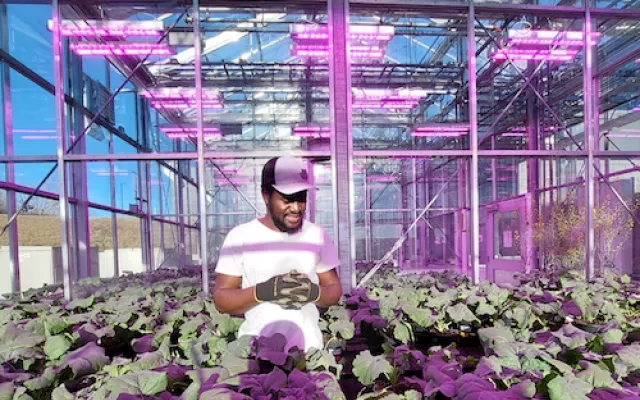 Dr. Foryuy Fairo Dzekashu