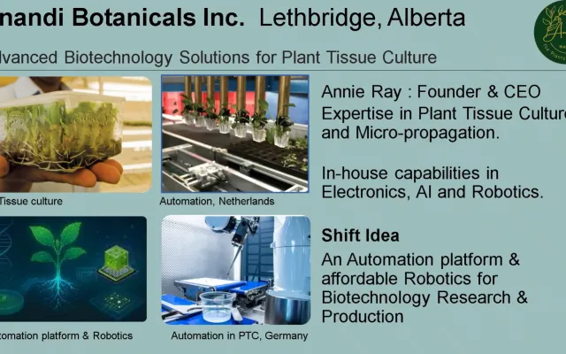 Presentation title page