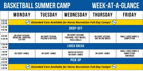 Full Day Basketball Camp