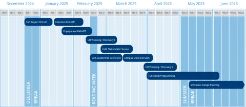 Destination Project II Timeline