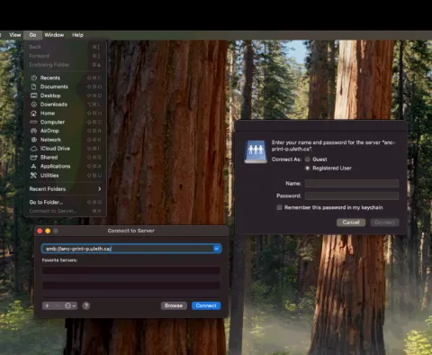 Connect to Server for Software