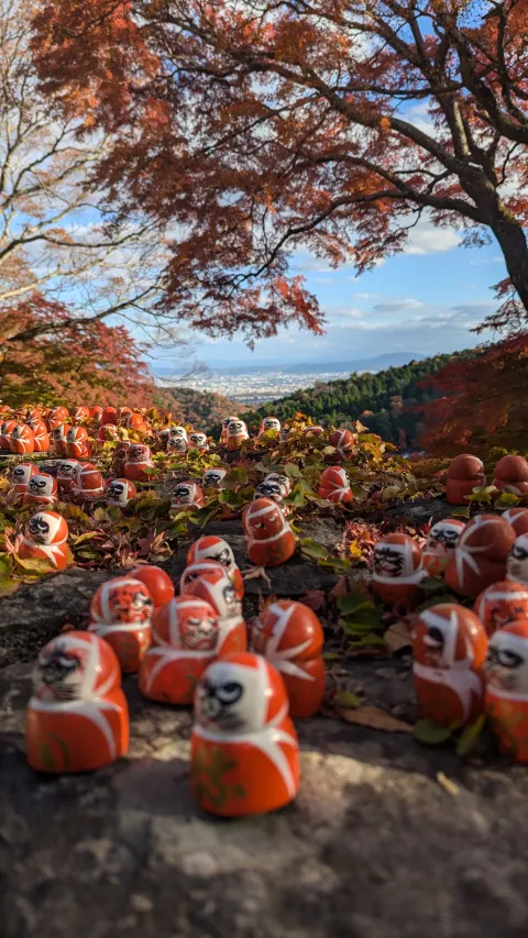Fall Daruma Overlooking Osaka