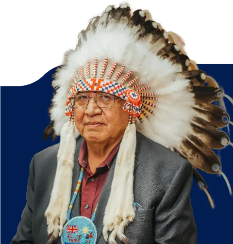 Francis First Charger, Ninnaisipistoo