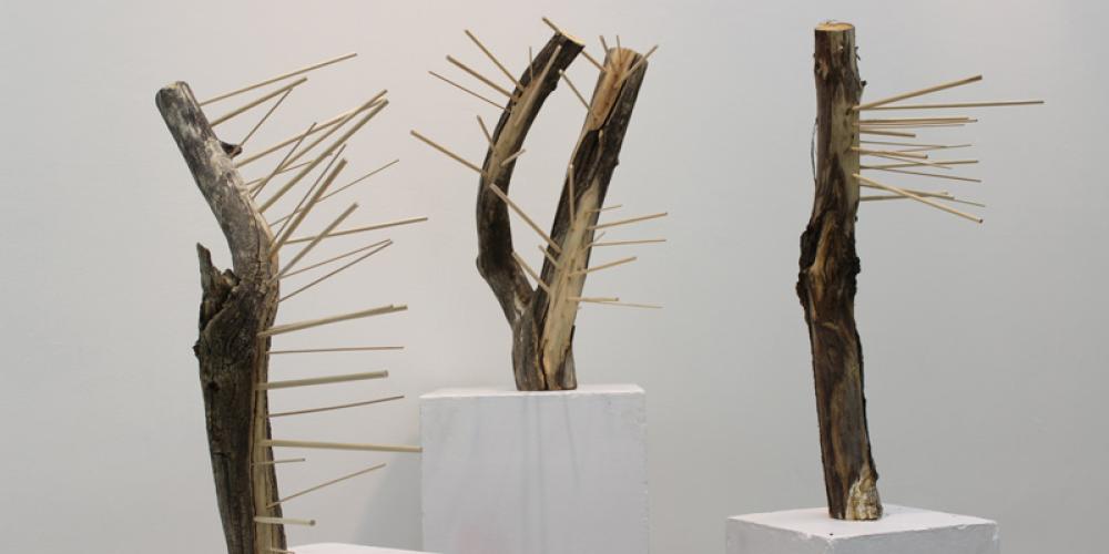 dowels sticking out of cut branches