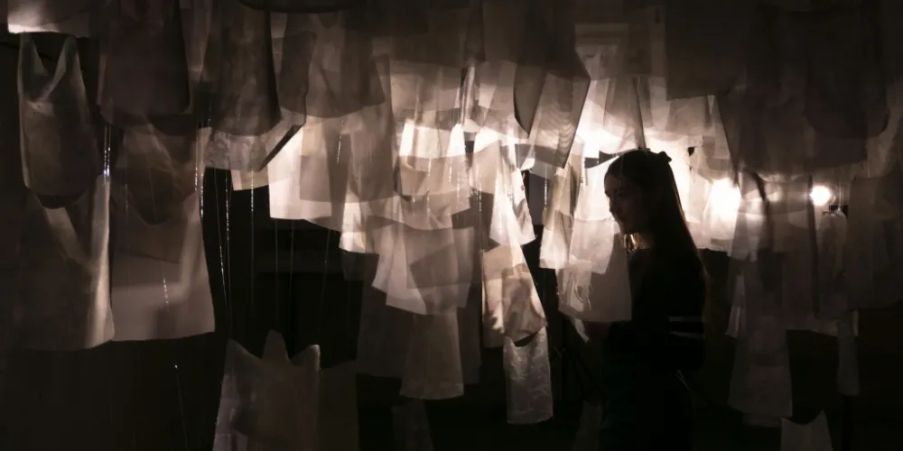 Alicia Barbieri, From Copper's Wood to Copperwood (2019)