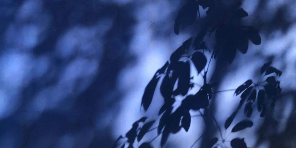 Courtney Faulkner, Casa Azul, with Frida - digital photograph, Mexico (2019)