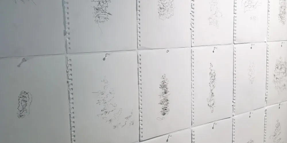 Jess Colley, In Transit (2019)