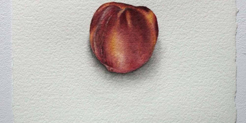Leah Koutroumanos, Peach - half of diptych (2019)