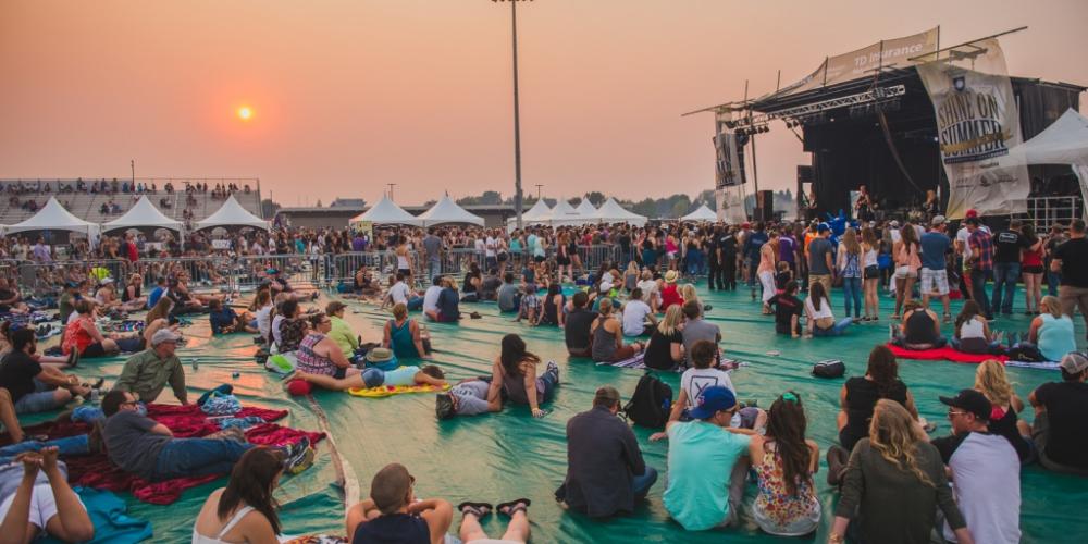 Crowd at outdoor concert
