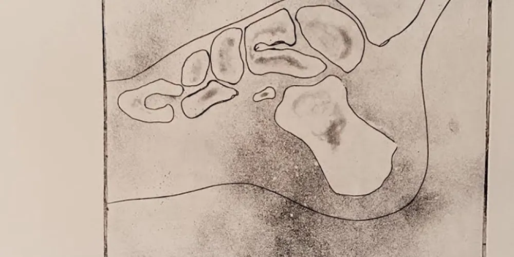 Zinc Plate Etch Print in Oil Based Ink called Break a Leg by Dominique Marcil.