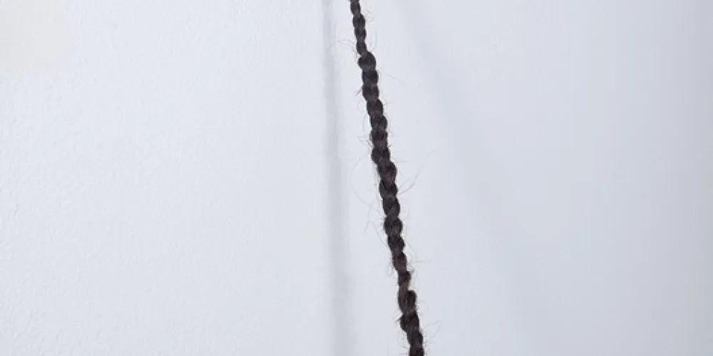 Artwork detail by artist Kaela Murphy called extension.