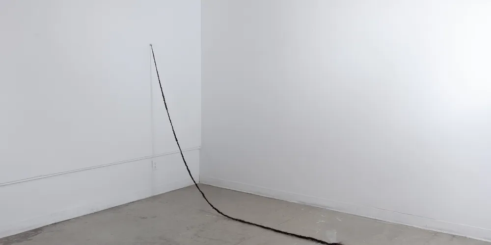Artwork by Kaela Murphy called extension, 2021.