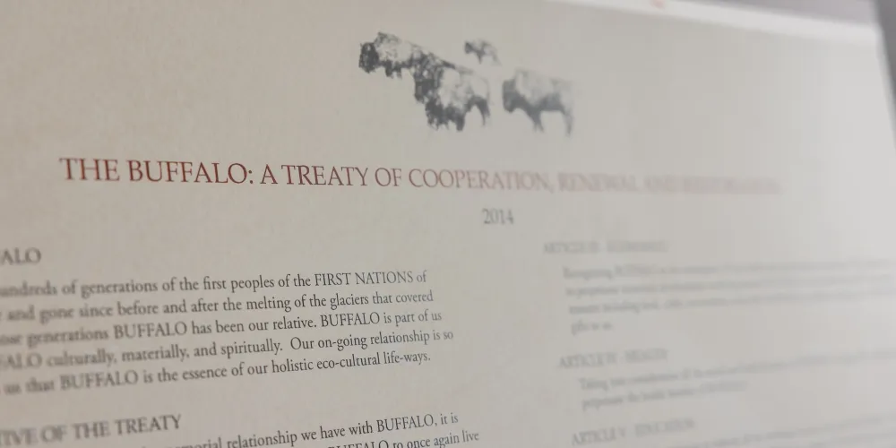 Buffalo Treaty