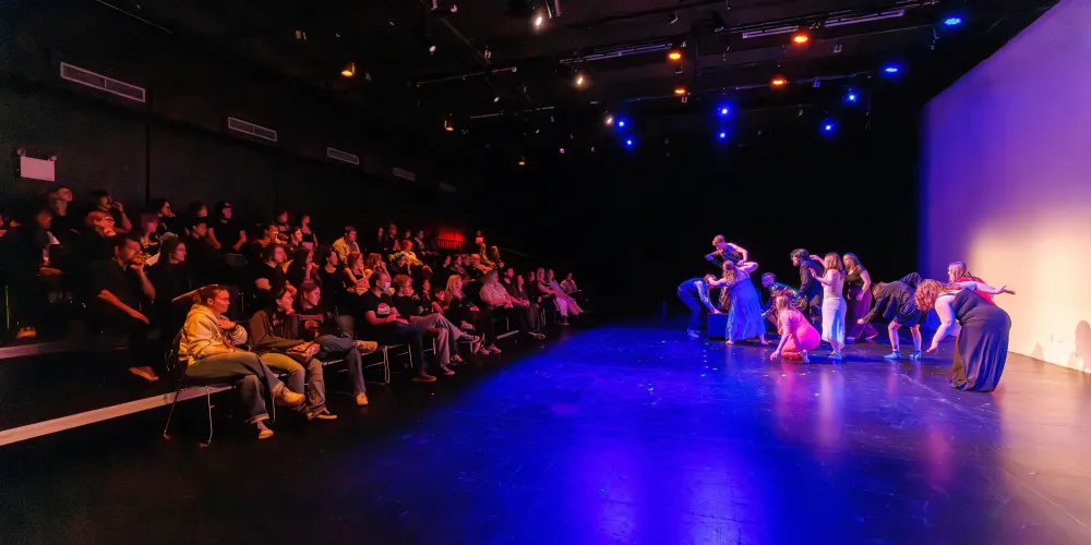 A theatre performance with a full audience at Vibe Fest.