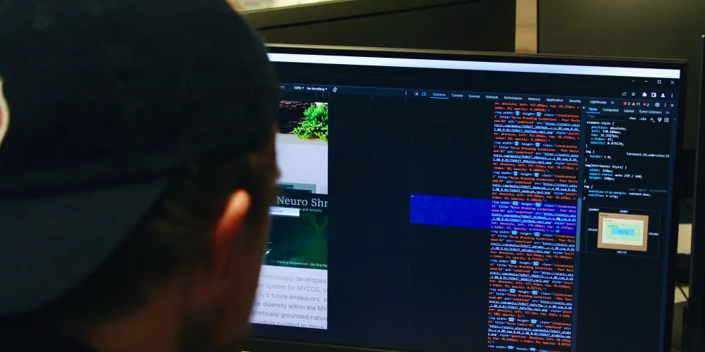 A student sitting at a computer