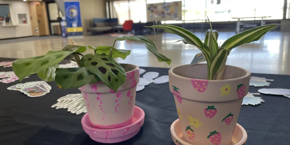 Pot Painting 