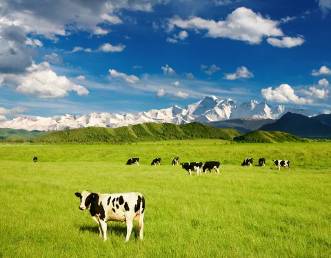 Agricultural Studies Agricultural Studies