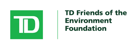 TD - Friends of the Environment Foundation