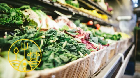 Fresh produce at a grocery store