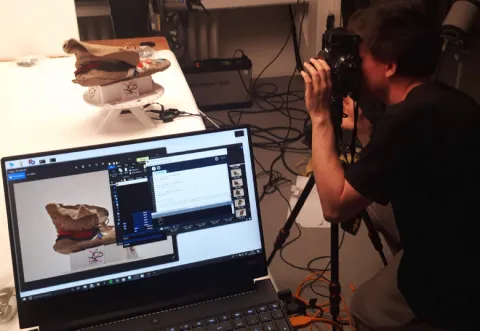 A person photographs a moccasin A person photographs a moccasin