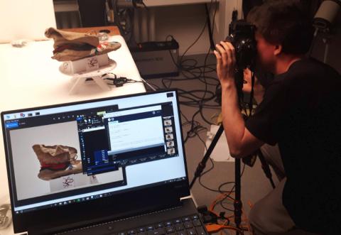 A person photographs a moccasin