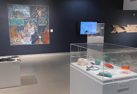 Art Gallery display