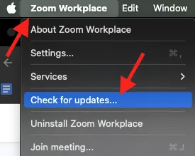 Zoom Check for updates