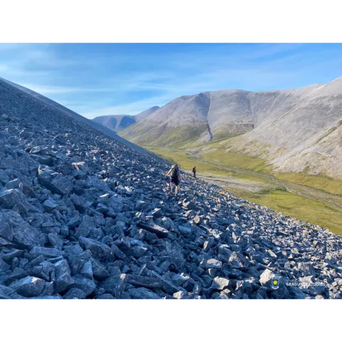 Traversing Blockfield Slopes in Yukon