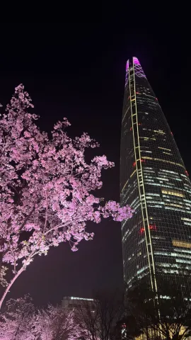 Lotte tower