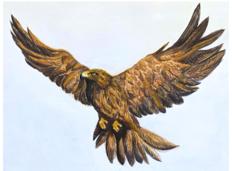 Golden Eagle Painting