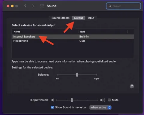 System Prefs Output