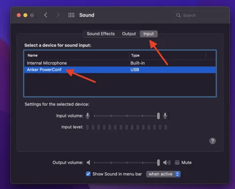 Wireless Mic Input