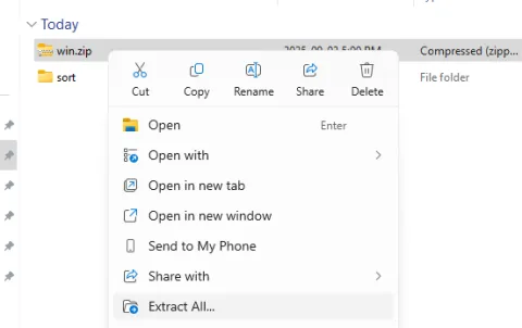 Extract a Zip File