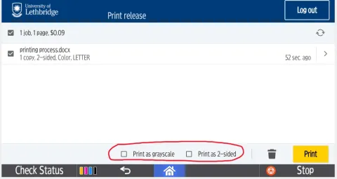 Web-Printing-Options
