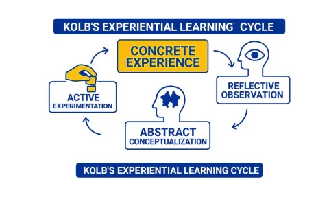 Kolb's Experiential Learning Cycle -  active learning, concrete experience, reflective observation, and abstract conceptualization in continuous cycle